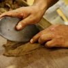 Leather Tanning Process Blog featured image